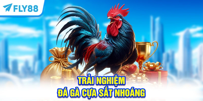 Trải nghiệm đá gà cựa sắt với những pha ra đòn chớp nhoáng